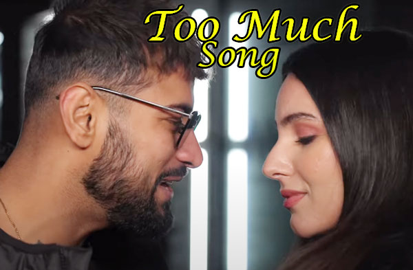 Too Much Song Lyrics - Garry Sandhu | Josh Sidhu